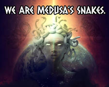 We Are Medusa's Snakes